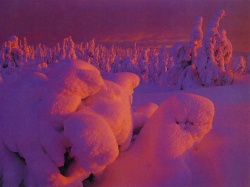 Фотографии природы зима
